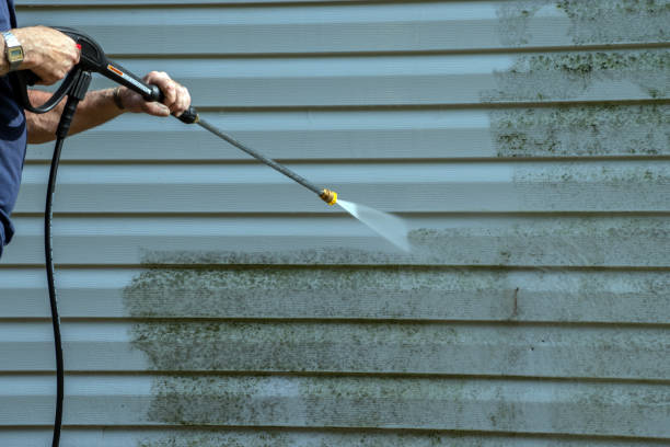 Best Sign and Awning Cleaning  in Rush City, MN